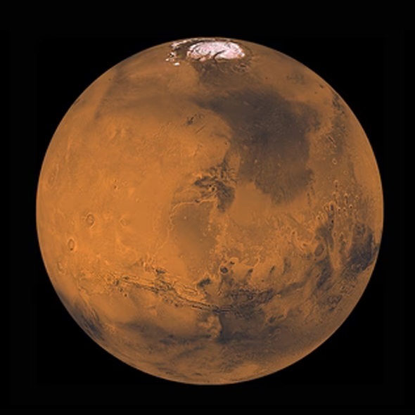 Pluszowy Mars Celestial Buddies — widok z przodu