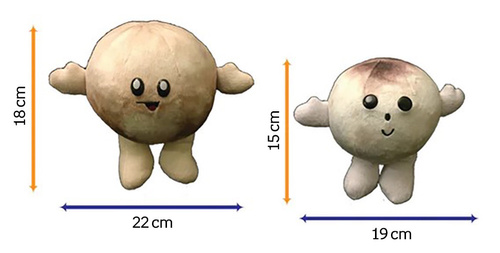 Pluszowe planety - Pluton i Księżyc Charon