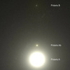 Pluszowa Gwiazda Polarna
