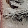 Storm Glass  - stacja pogody - barometr chemiczny