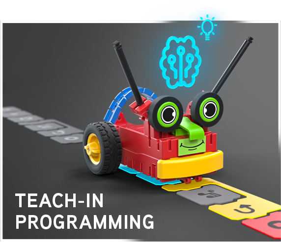 Early Coding — widok elementów i aplikacji